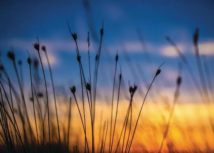 Awesome Home In Privlaka Hébergement de vacances Privlaka (Zadar)